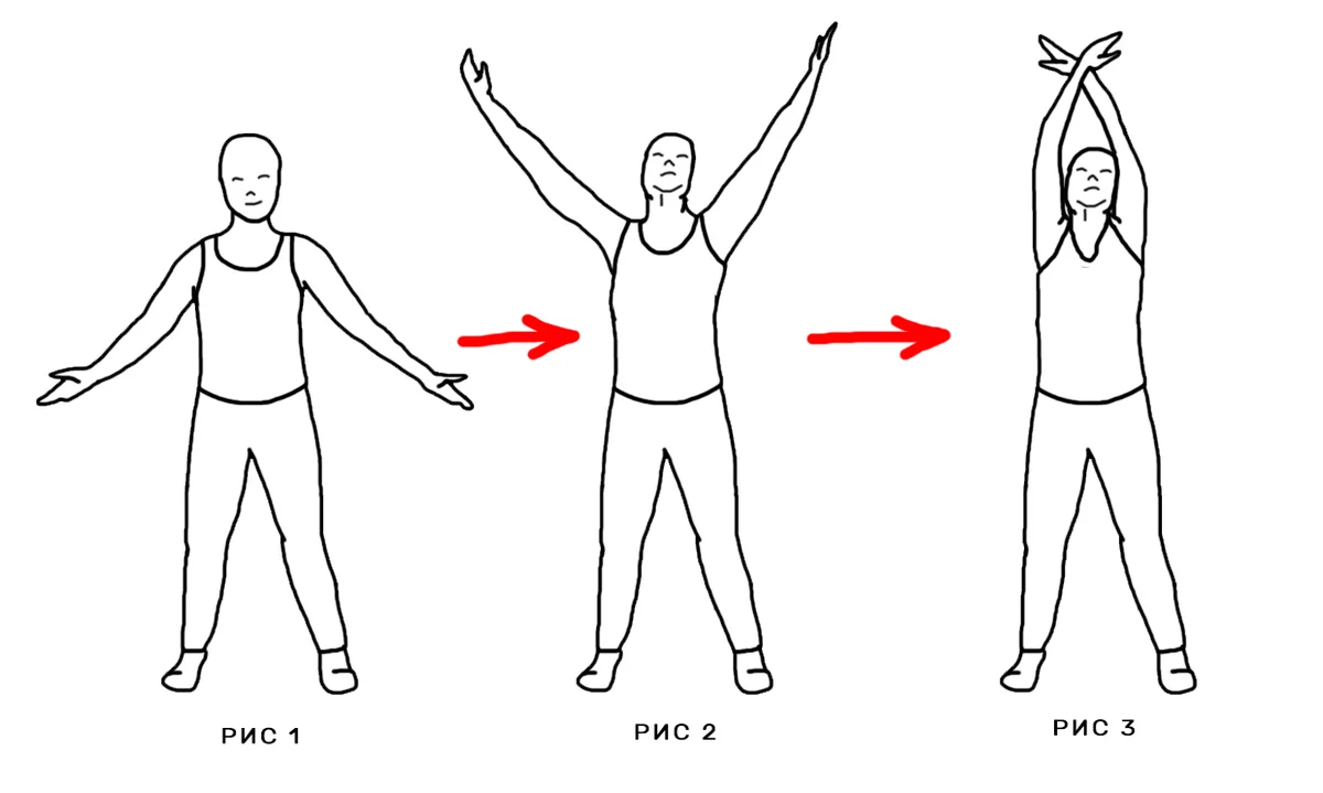 Слегка сжимая. Упражнения стоя. Руки в стороны упражнение. Поднятые плечи и ладони. Упражнения с поднятыми руками.